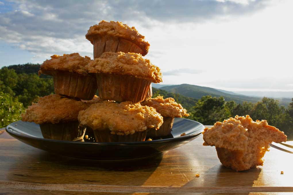 applesauce muffins with mountain view