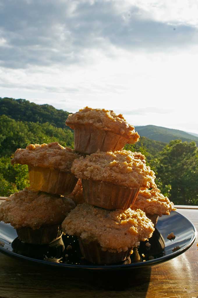 applesauce muffins stacked on plate with mountain view