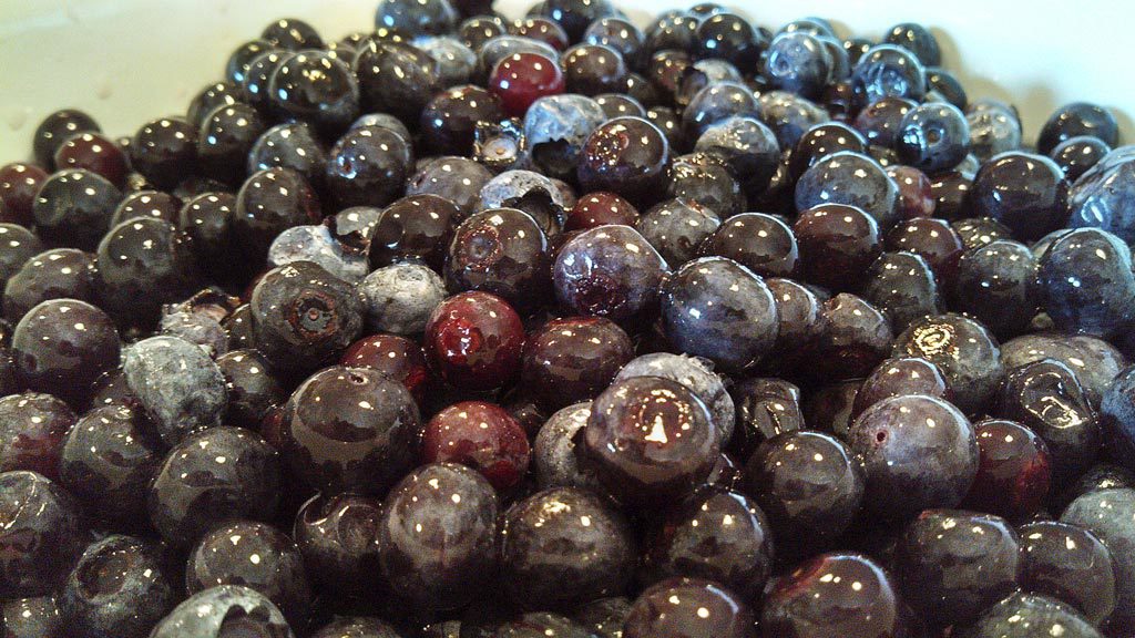 Celebrate your favorite summer berry with this blueberry crisp. Warm tart blueberries topped with a pecan cinnamon and oat topping. | TheMountainKitchen.com