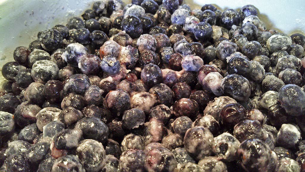Celebrate your favorite summer berry with this blueberry crisp. Warm tart blueberries topped with a pecan cinnamon and oat topping. | TheMountainKitchen.com