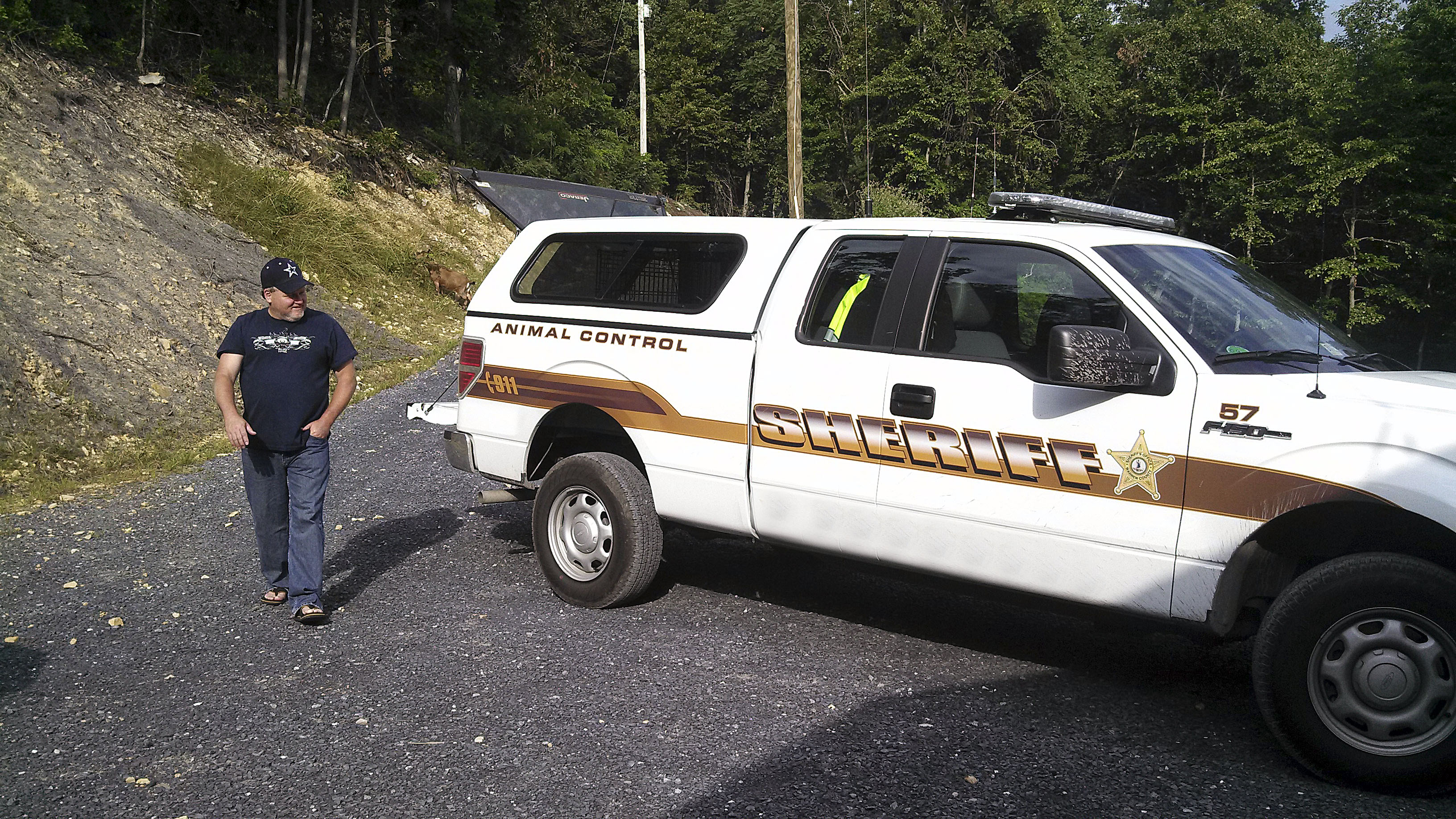 There is never a dull moment on the mountain! I chased goats wearing flip flops yesterday. WHAT?!?! You've got to read this bizarre story! | TheMountainKitchen.com