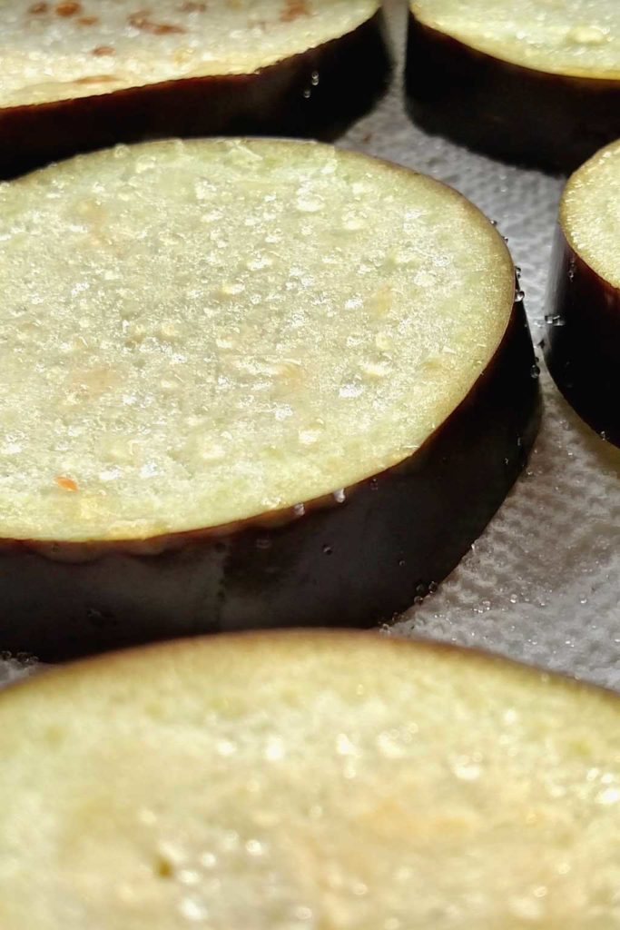Julia Child's eggplant pizzas are low-carb and gluten-free, made using eggplant slices in place of traditional pizza crust. The eggplant slices are topped with warm tomato sauce, piled high with cheese and so good you'll totally forget about pizza crust. | TheMountainKitchen.com