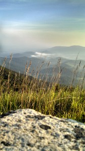 IMG_20130901_072833_357