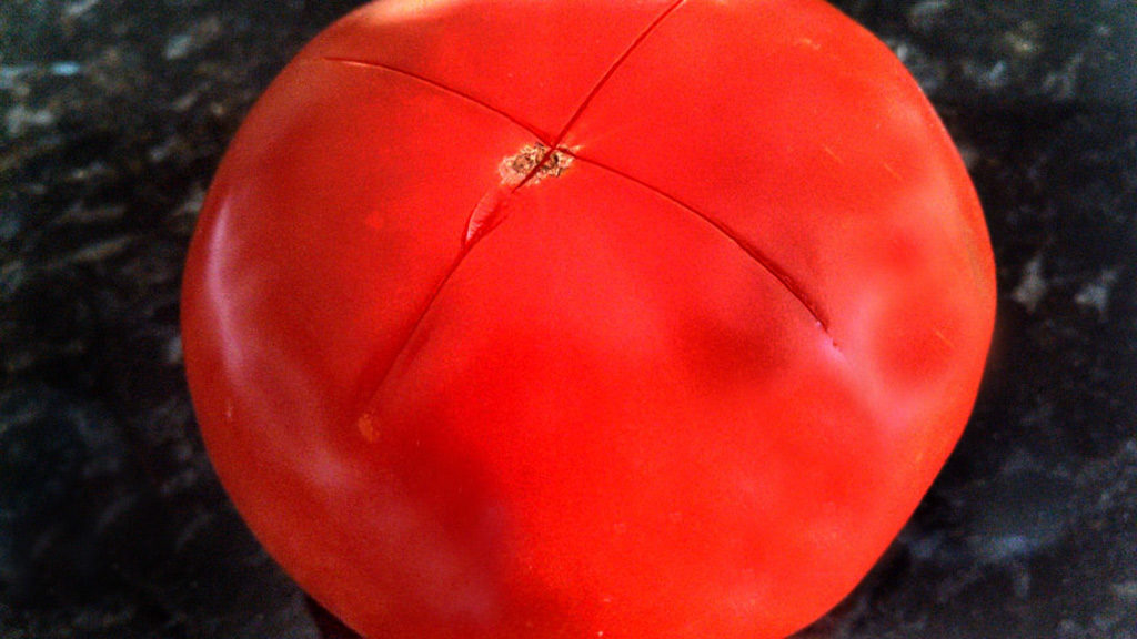 Easy to follow instructions on how to peel and core tomatoes. You can process 3-4 tomatoes at a time using the boiling water method. | TheMountainKitchen.com
