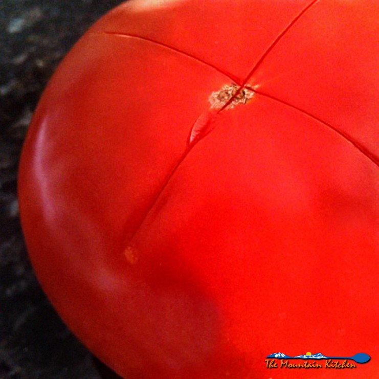 Easy to follow instructions on how to peel and core tomatoes. You can process 3-4 tomatoes at a time using the boiling water method. | TheMountainKitchen.com