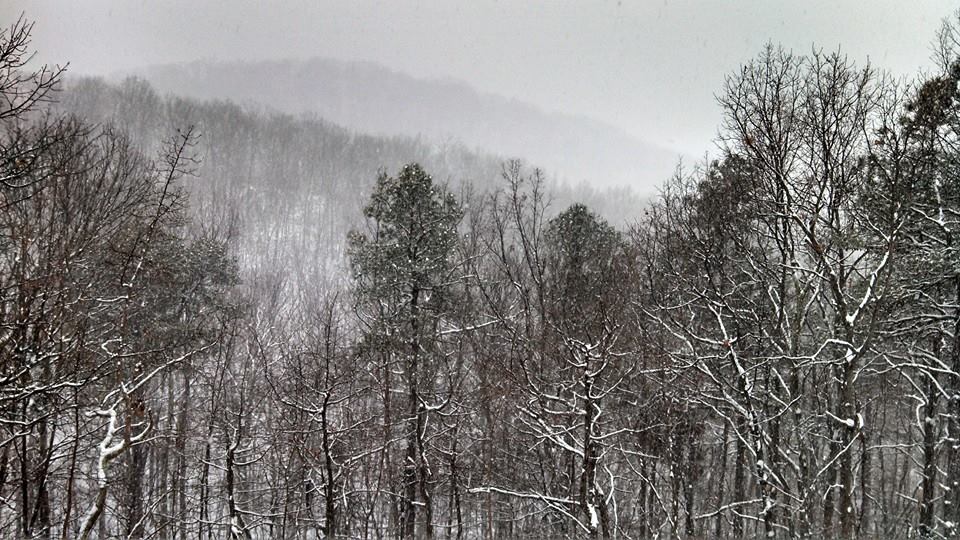 Winter has arrived on the mountain. Snows in December and early January are the prettiest, because of the beautiful Christmas lights. Tis the season!