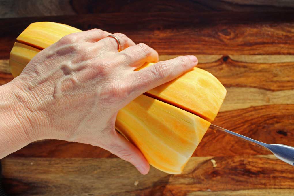 center cut of squash