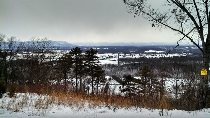 Signal Knob