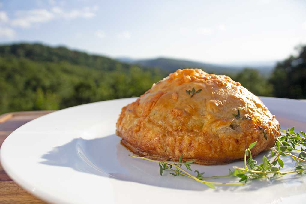 mushroom wellington with mountain view