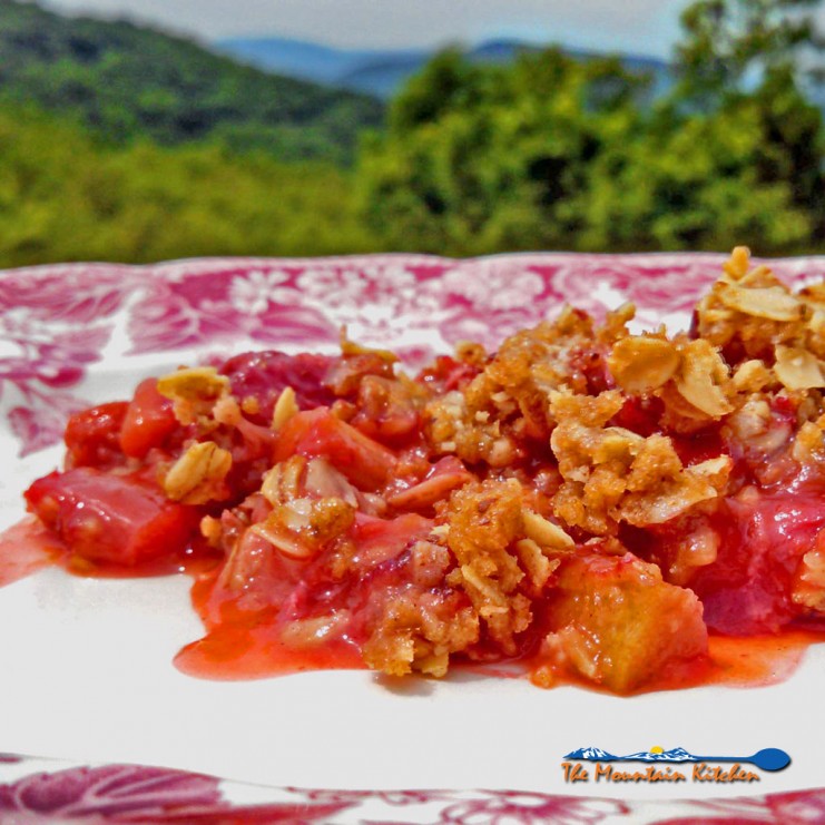 Strawberry Rhubarb Crisp ~ Strawberries and rhubarb coated in sugar with a brown sugar oat topping with warm tones of cinnamon, nutmeg and ginger. | TheMountainKitchen.com