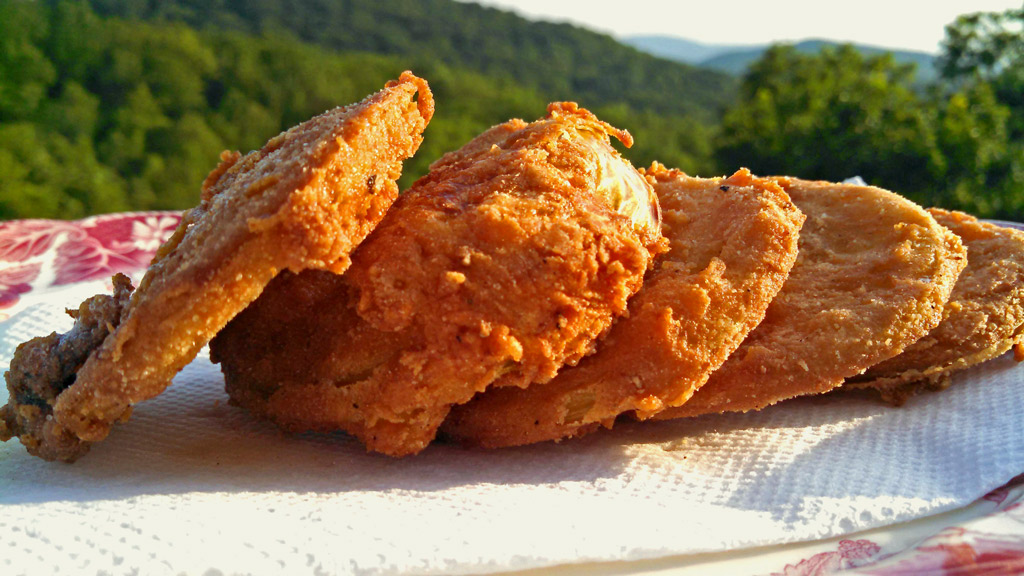 fried green tomatoes on plate with mountain view