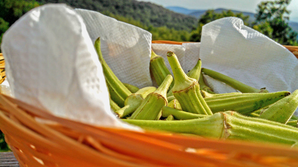 fresh okra in basket with mountain view