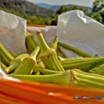 fried okra with mountain view