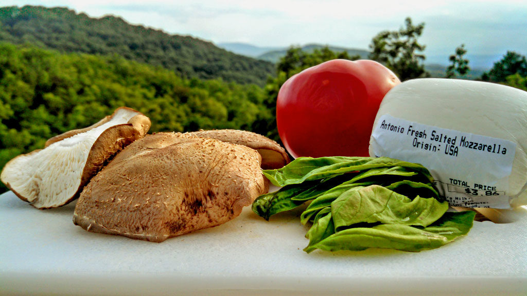 ingredients to make sandwich