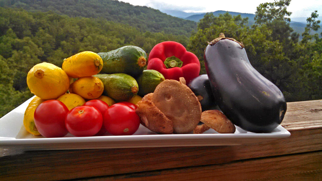 Summer squash, eggplant, zucchini, bell pepper, mushrooms and tomatoes all grilled to make a warm grilled vegetable salad with bread and dressing. | TheMountainKitchen.com