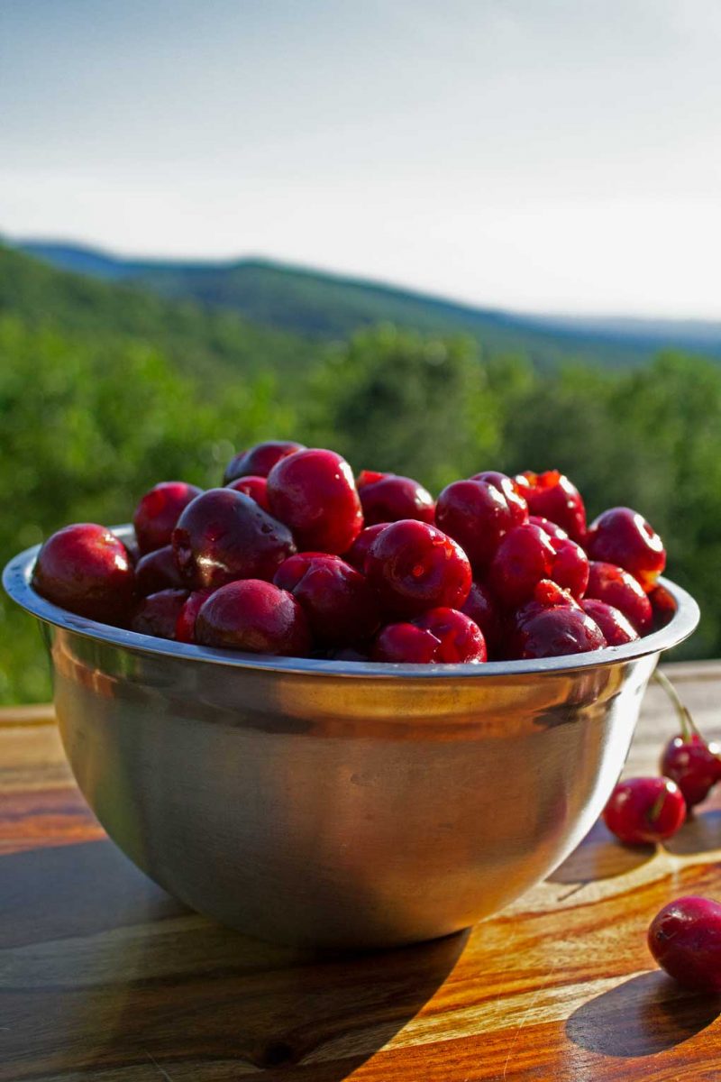 bowl of pitted cherries with mountain view