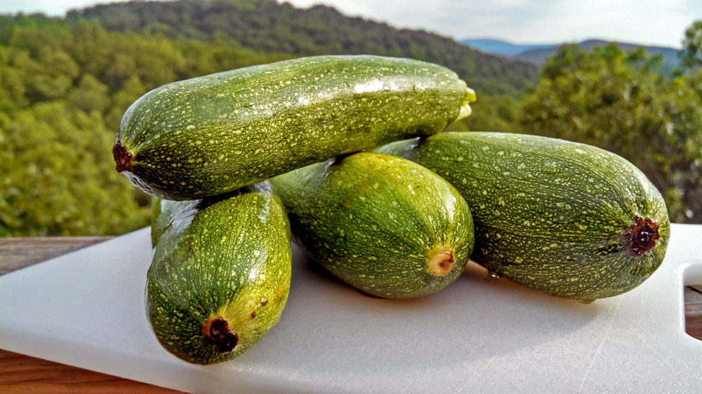 zucchini on cutting board with mountain view