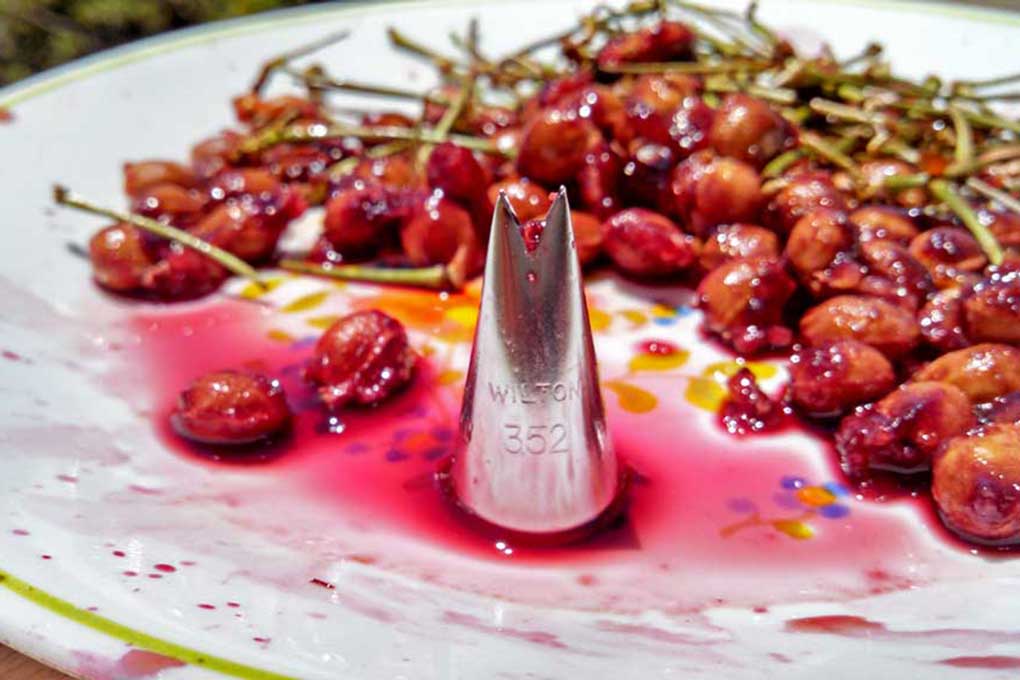 pastry tip with cherry pits and juice