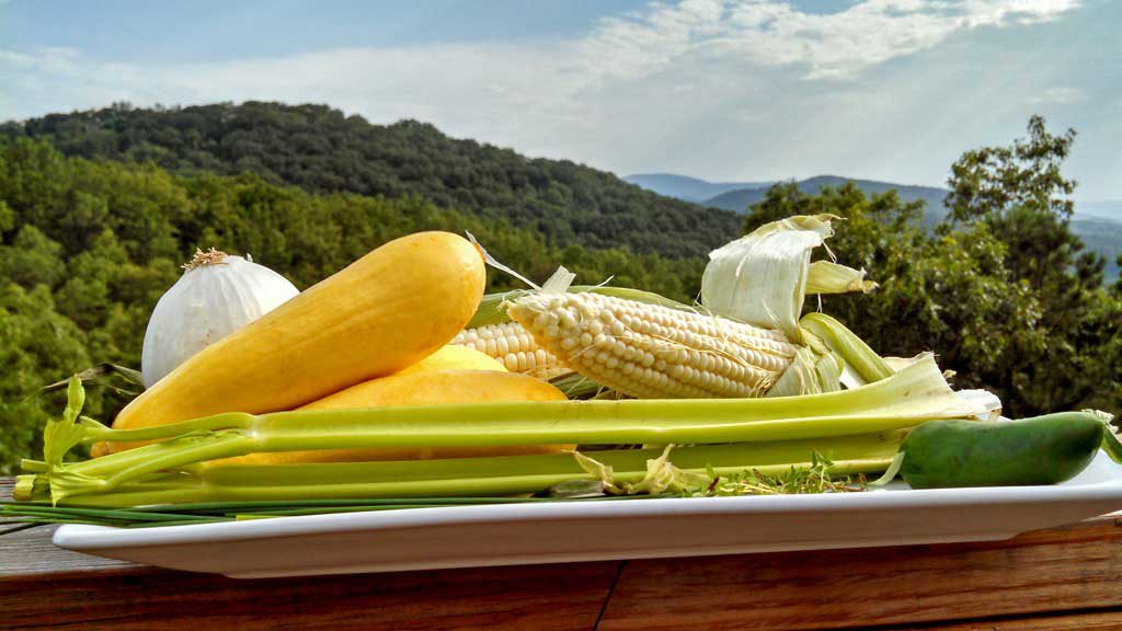 summer chowder ingredients