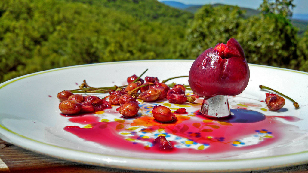 Was it July 4th Already? David HRH and I spent our July 4th weekend at home on the mountain. Find out how we celebrated and what we cooked! | TheMountainKitchen.com