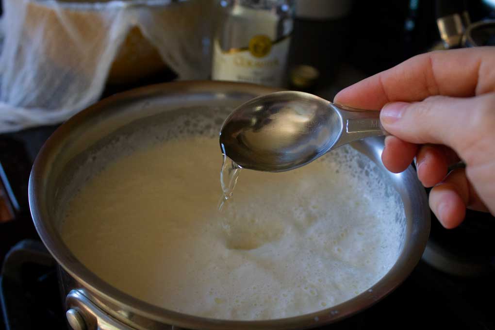 pouring white wine vinegar into curds and whey