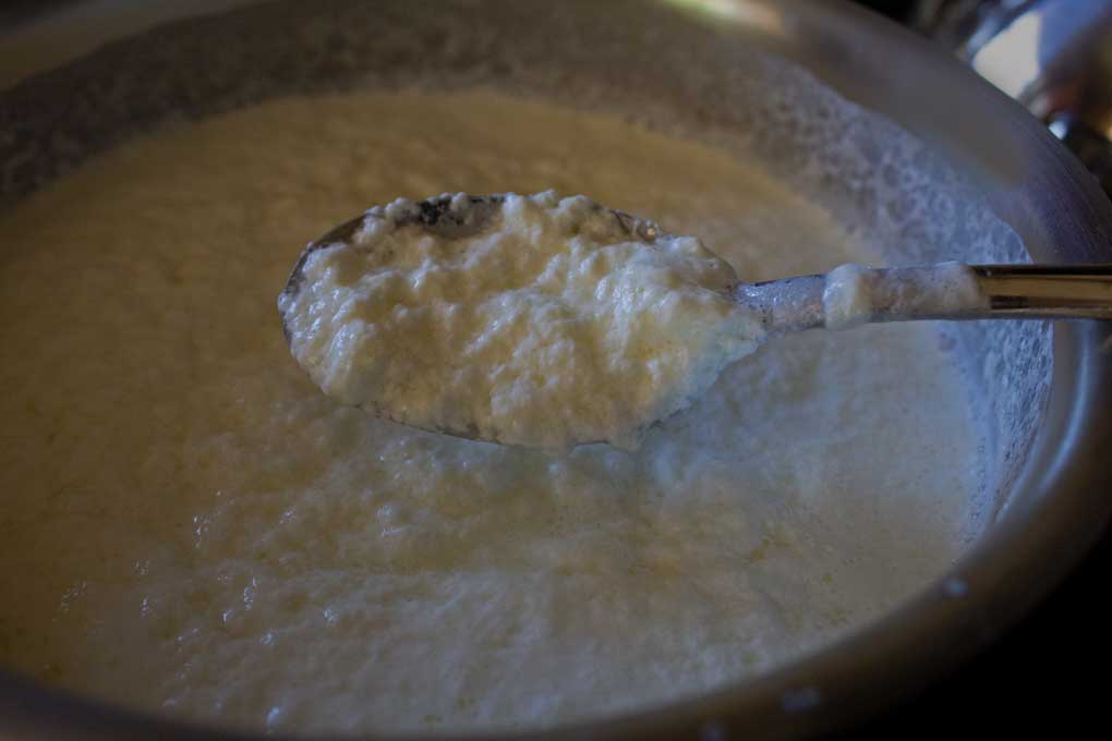 soft cheese curds of homemade ricotta cheese