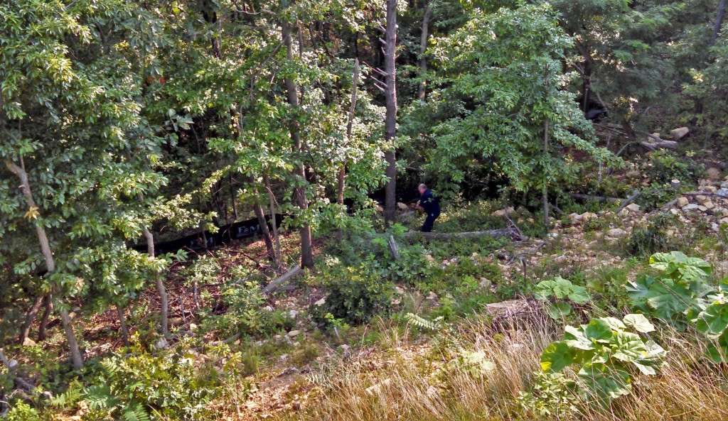 Cutting trees with an ax is not for two out of shape people that love food. Read the story of how we cut trees because of view encroachment. #mountainlife