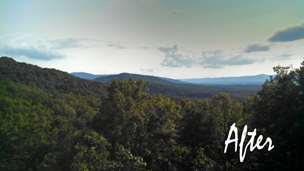 Cutting trees with an ax is not for two out of shape people that love food. Read the story of how we cut trees because of view encroachment. #mountainlife