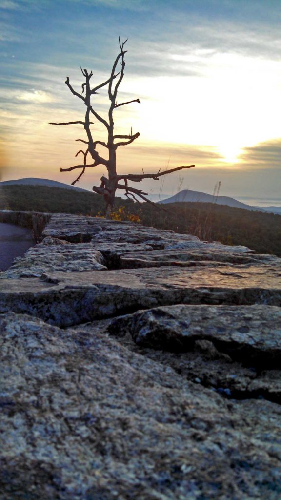 Watching the sunrise come up on Skyline Drive, while people were sleeping. There something so special about watching the sunrise from on top of the world. | TheMountainKitchen.com