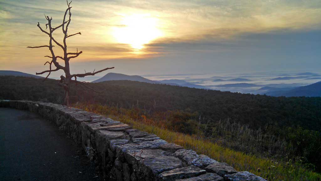 Watching the sunrise come up on Skyline Drive, while people were sleeping. There something so special about watching the sunrise from on top of the world. | TheMountainKitchen.com