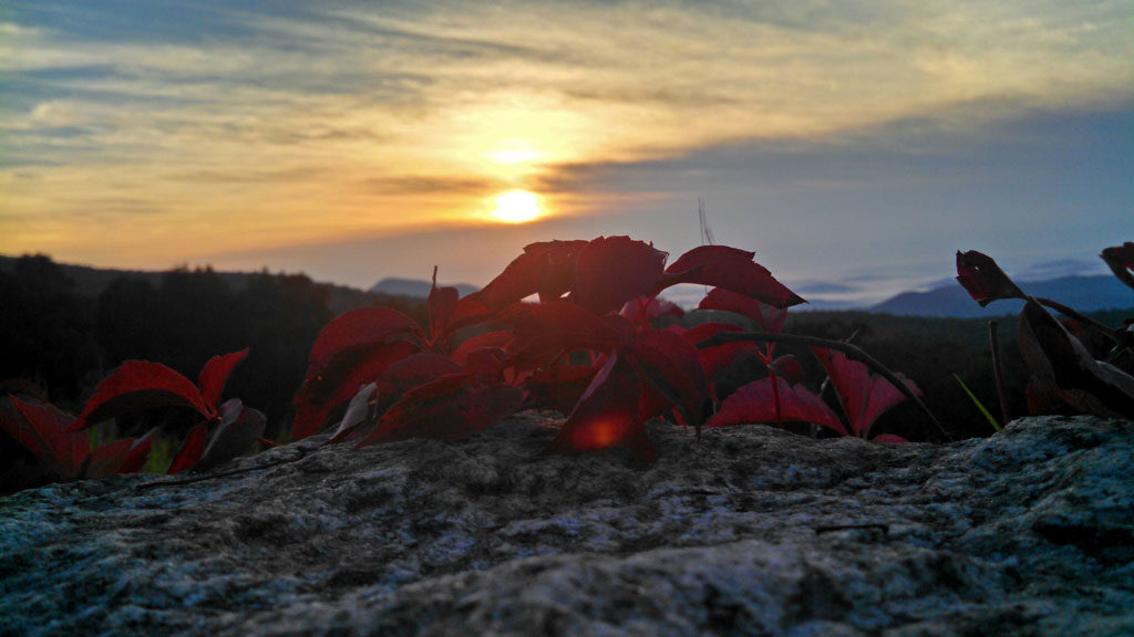 Watching the sunrise come up on Skyline Drive, while people were sleeping. There something so special about watching the sunrise from on top of the world. | TheMountainKitchen.com