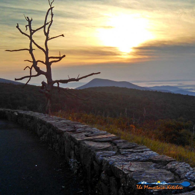 Watching the sunrise come up on Skyline Drive, while people were sleeping. There something so special about watching the sunrise from on top of the world. | TheMountainKitchen.com