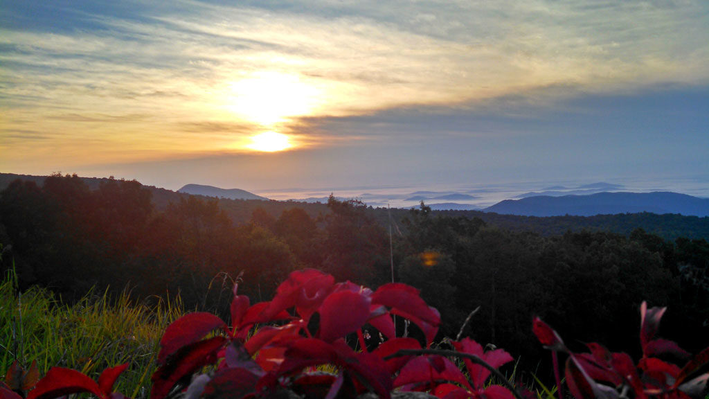 Watching the sunrise come up on Skyline Drive, while people were sleeping. There something so special about watching the sunrise from on top of the world. | TheMountainKitchen.com