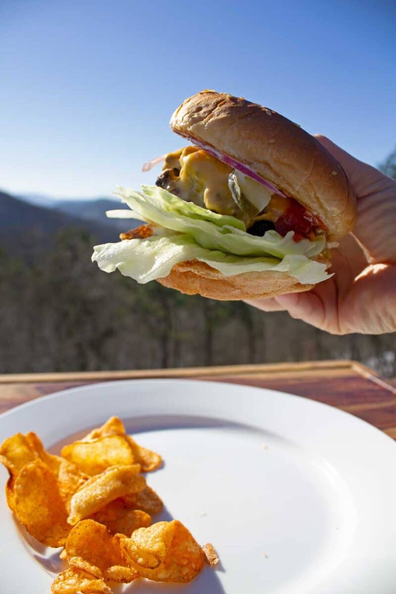 hand holding burger over plate