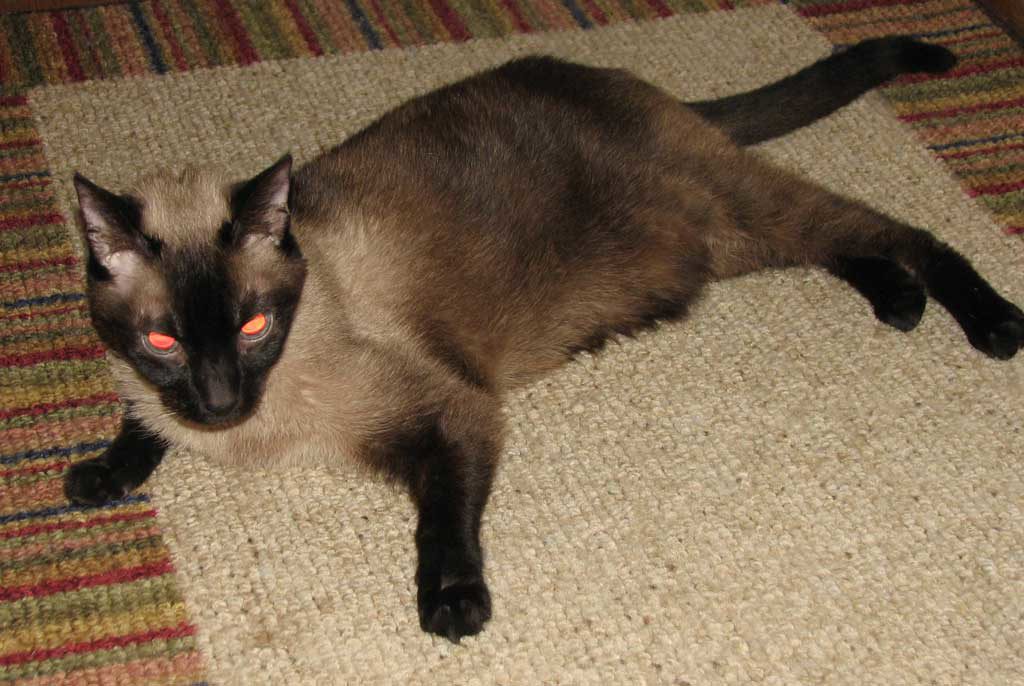 His Royal Highness pissed off!