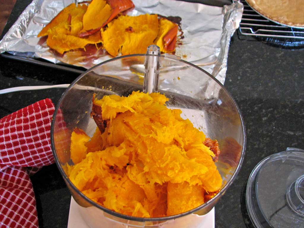 pumpkin in food processor