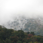 Snow in Fall