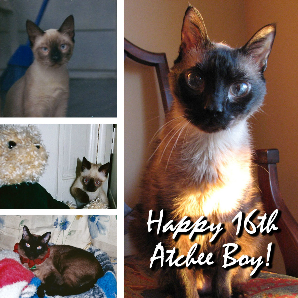 Happy-16th-Mr-A