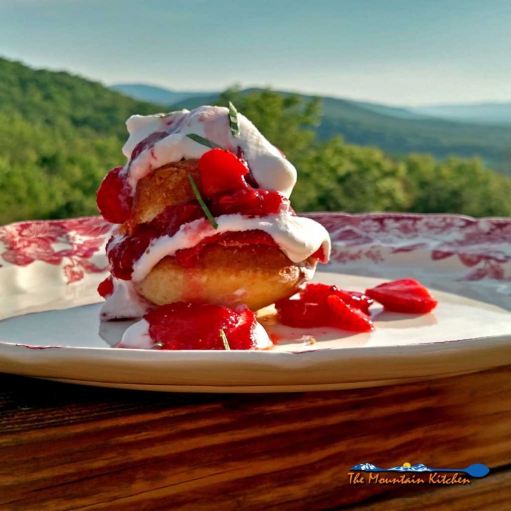 Strawberry Shortcake Surprise