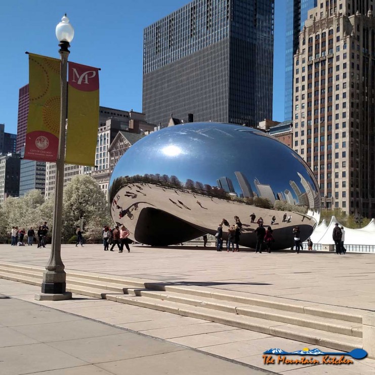 The Bean in Chicago