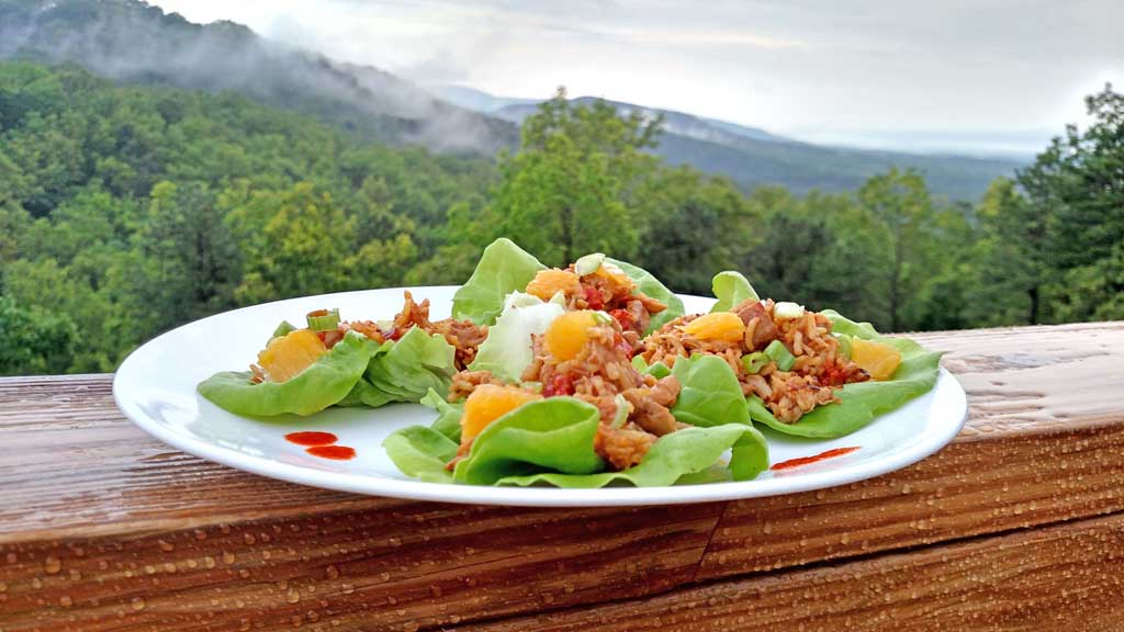 Orange Ginger Chicken Lettuce Cups on plate with rainy mountain view