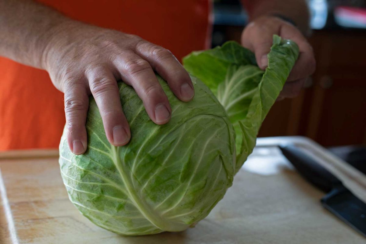 peeling outer leaves from cabbage