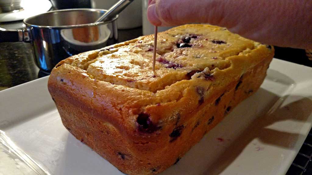 This Blueberry Lemon Yogurt Loaf captured that hot summer morning picking blueberries at my mama’s house perfectly. This loaf has quite the zing to it and it is bursting with lemon flavor and fresh blueberries. It practically melts in your mouth and I am sure it would bring warm summer thoughts to your mind even in the dead of winter! | TheMountainKitchen.com