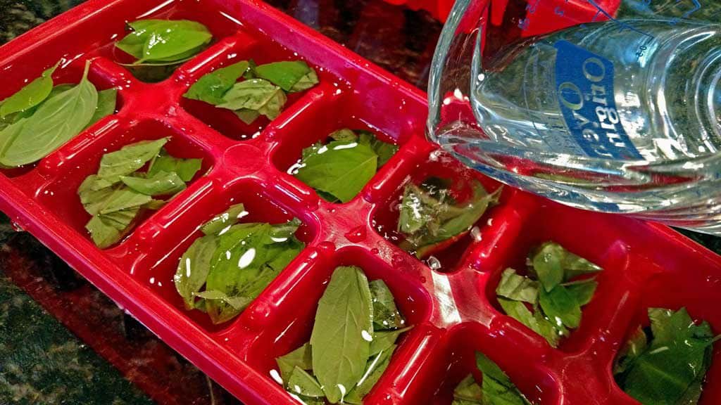 basil in ice tray