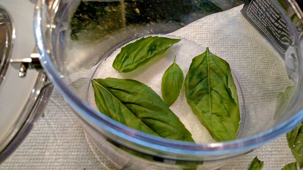 basil leaves in salt