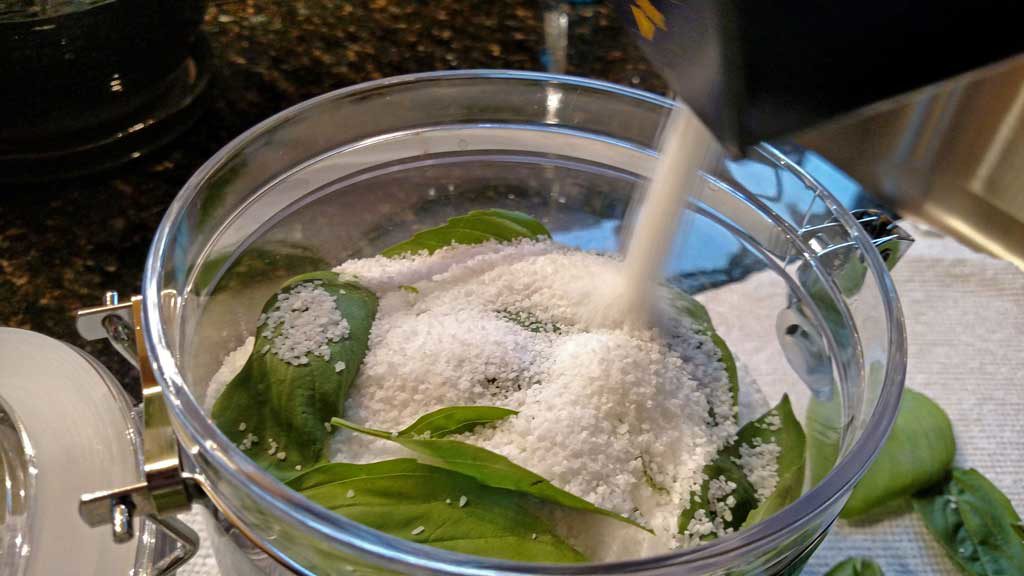 pouring salt on basil leaves