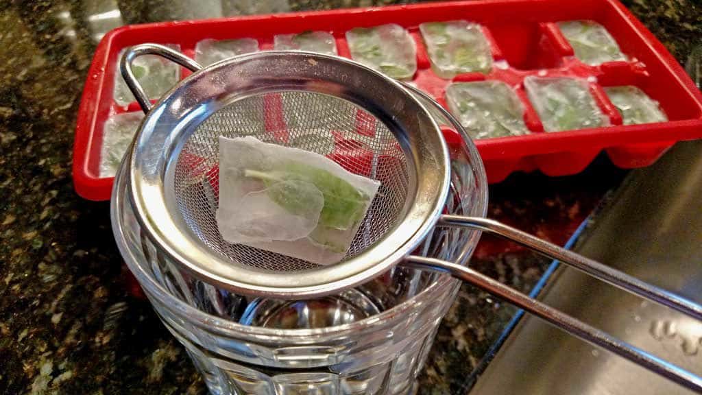 cube of ice with basil thawing
