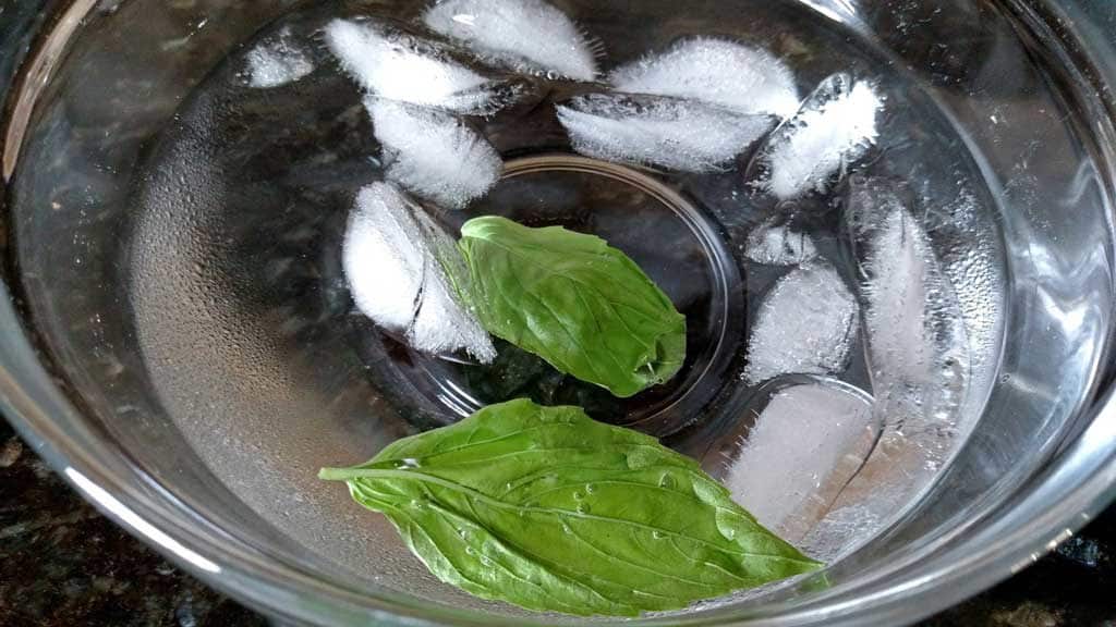 basil leaf in ice water