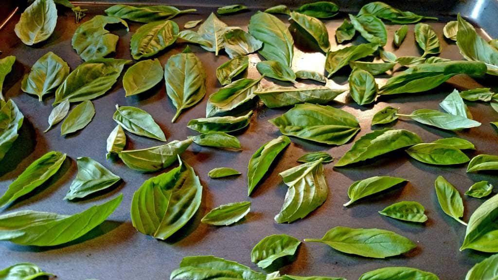 basil leaves on a sheet pan