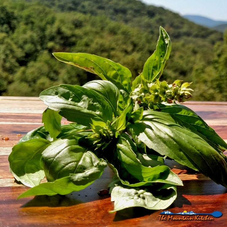 basil with mountain view
